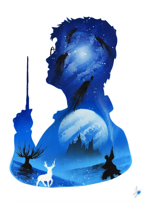 Harry Potter - 60x40